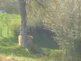 FRED GUY76 NEUFCHATEL