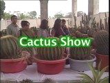 Shabbir Ibne Adil, PTV, News Report: Cactus show (2002)