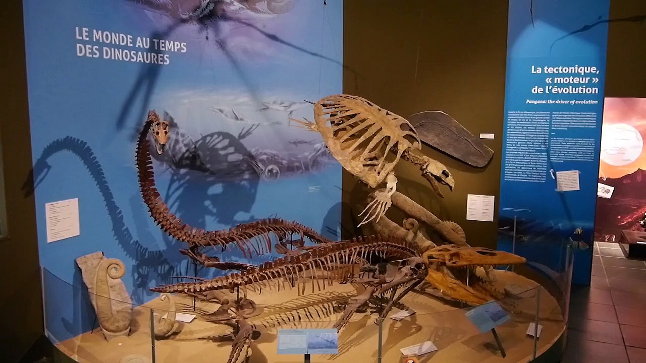 Paleopolis - Allez-y !