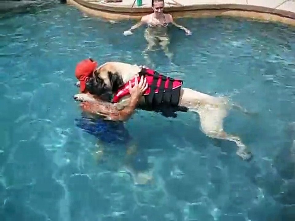 Ne manquez surtout pas ce qui se produit lorsque la grande fifille de Papa se jette à l'eau.