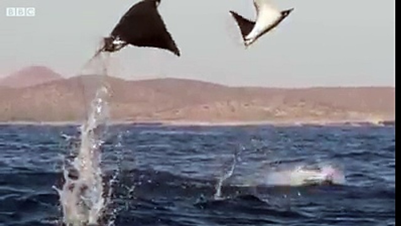 Its really Awesome must watch