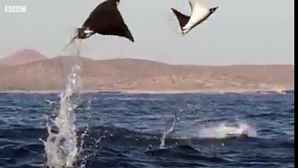 Its really Awesome must watch