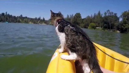 Rosie et ses huskies vous invitent à se joindre à leur aventure !