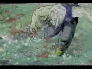 DBZ-G-Unit: Power and Unity in Dragon Ball