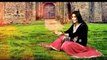 Brishna Amil _ Yarana _ New song