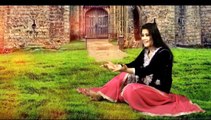 Brishna Amil _ Yarana _ New song