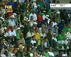 Abdul Razzaq & Saleem Elahi's 257 Run 2nd Wkt Partnership vs SA 2003.