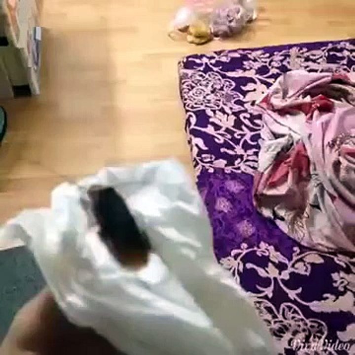 Đẹp trai, vạm vỡ phải nghe lời vợ vì ... sợ gián