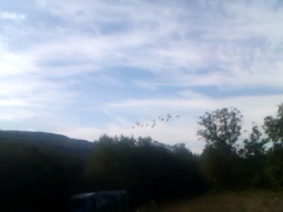 lespaniersdemathieuVIDEO0201canards