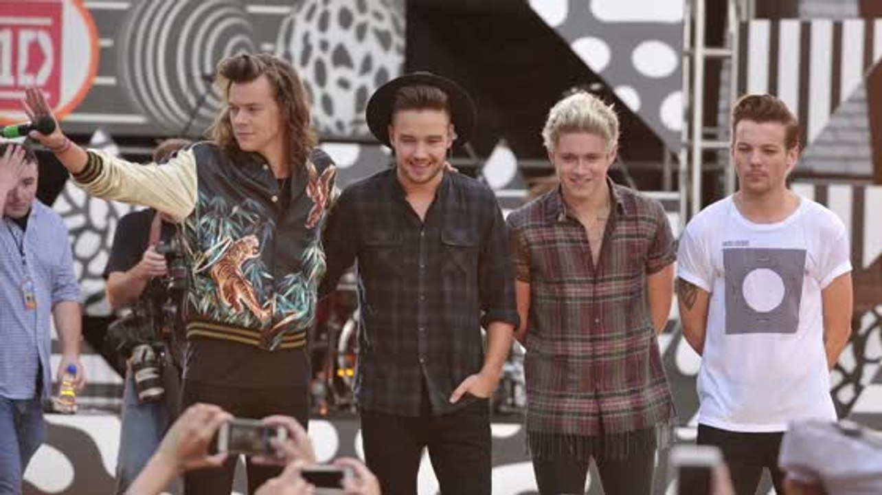 One Direction's Niall Horan And Louis Tomlinson Confirm Hiatus