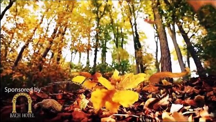 Naghma Official new Afghan Dari song kashe Budam 2015