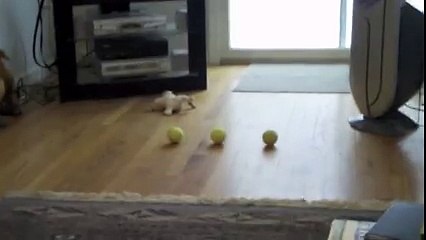 Bu topların hepsi benim!