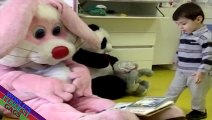Scary Bunny Prank   Worlds Funniest Gags