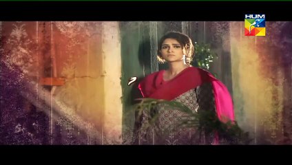 Kitna Satatay Ho Episode 14 Promo HUM TV Drama 23 Aug 2015