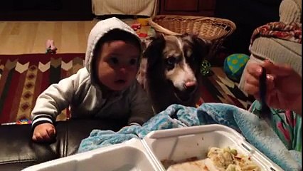 awesome video must watch