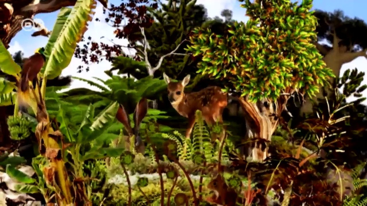 Paraguay: kleinbauern gegen soja-monokulturen | global 3000