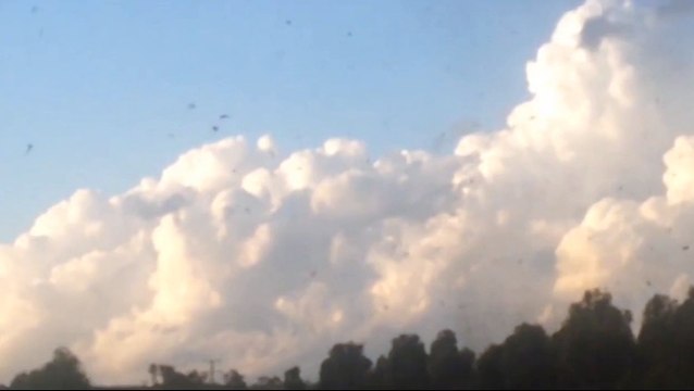 Tornado touches down in New South Wales