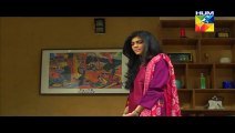 Akeli Episode 22 Full HUM TV Drama 19 Aug 2015