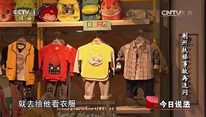 《今日说法》 20150825 荆州扶梯事故再追问