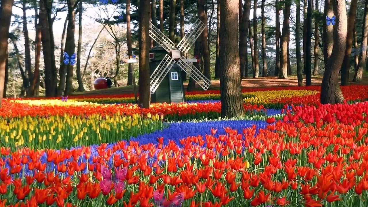 Top 10 Beautiful Places to Visit in the World