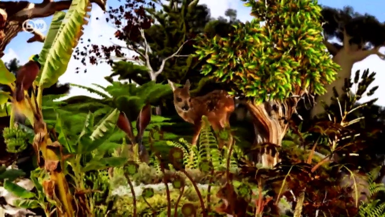 Small-scale farmers against soya monocultures | Global 3000