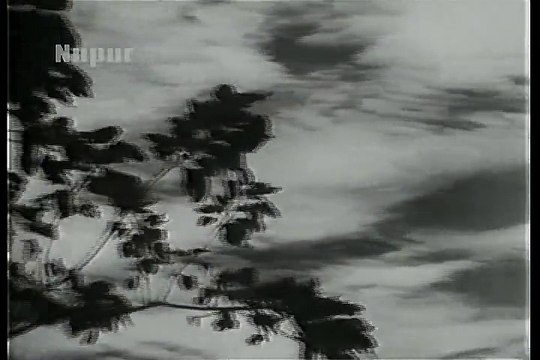 MILAP (1955) - Piya Khul Ke Na Nain Milaye Re | Jiya Taras Taras Reh Jaye Re