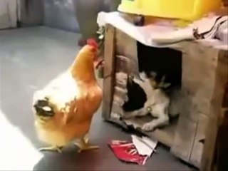 GÜLMEKTEN KOPACAKSINIZ