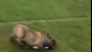 This dog knows how to have fun