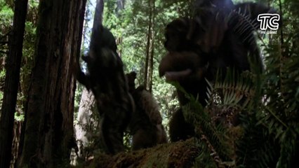 Star Wars El regreso del Jedi