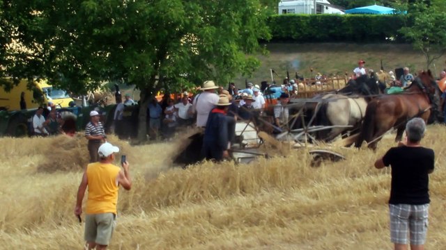 Faire les foins à l'ancienne