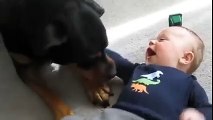 Köpekle Bebeğin Oyunu