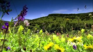 Discovering Romania - Natural beauties - Culture, History & Tourism