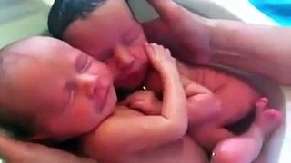 Twin Babies Think They're Still in The Womb !!