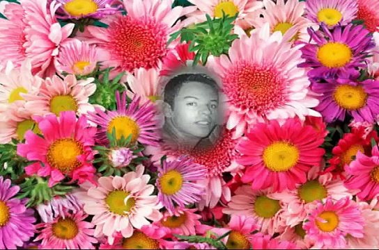 Amado irmão - Elaine Ferreira Alves e Kamila Ferreira Alves