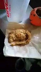 KFC serves ‘Fried Rat’ instead of Chicken wings?