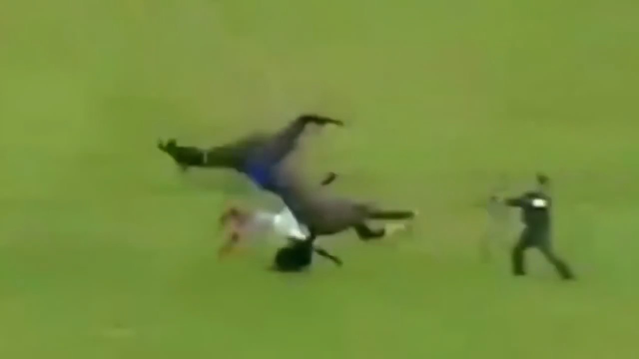 Angry horse fall on men