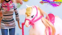 Barbie Doll and Horse / Barbie z Koniem - Mattel - CFN42 - Recenzja