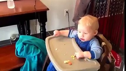 wonderful animals with wonderful laugh.