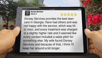 New Rating for Dorsey Services by Steve P.         Amazing         Five Star Review by Steve P.