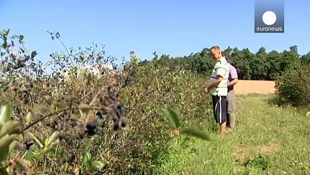 Varsovie débloque 125 millions d'euros pour aider ses agriculteurs