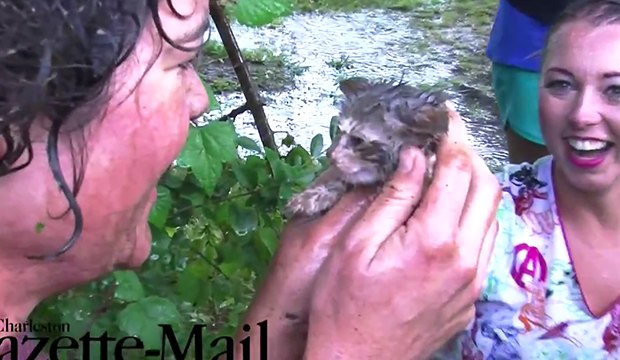 Elle sauve un chaton de la noyade au dernier moment