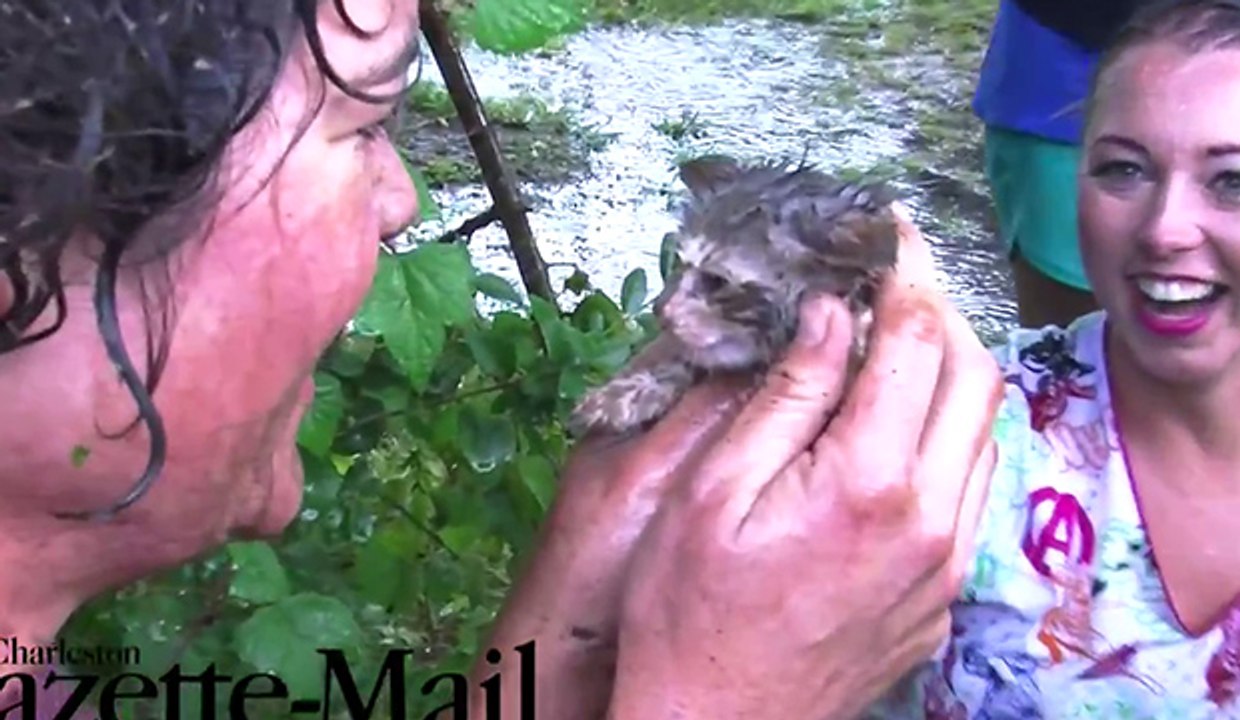 Elle sauve un chaton de la noyade au dernier moment