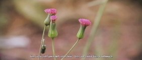 شيلة - يا مسافر 2015 - أداء فهد الشهراني وجمعان الحارثي