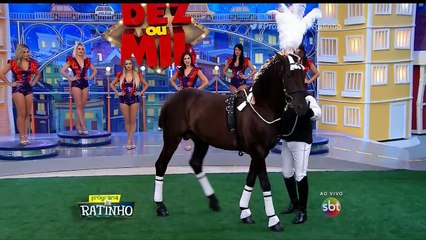 Cavalo dança muito no Dez ou Mil