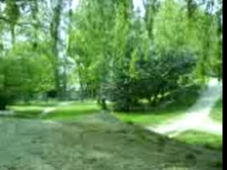 trial freeride