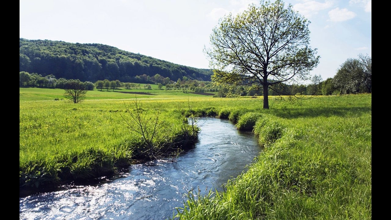Dios es Amor, Dios es Vida (Parodia de "Shrek es Amor, Shrek es Vida")