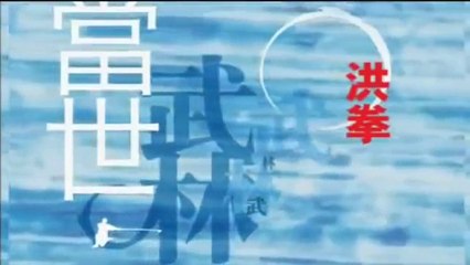 Comptemplately Style of Kung Fu - Hong Fist  當世武林 - 洪拳