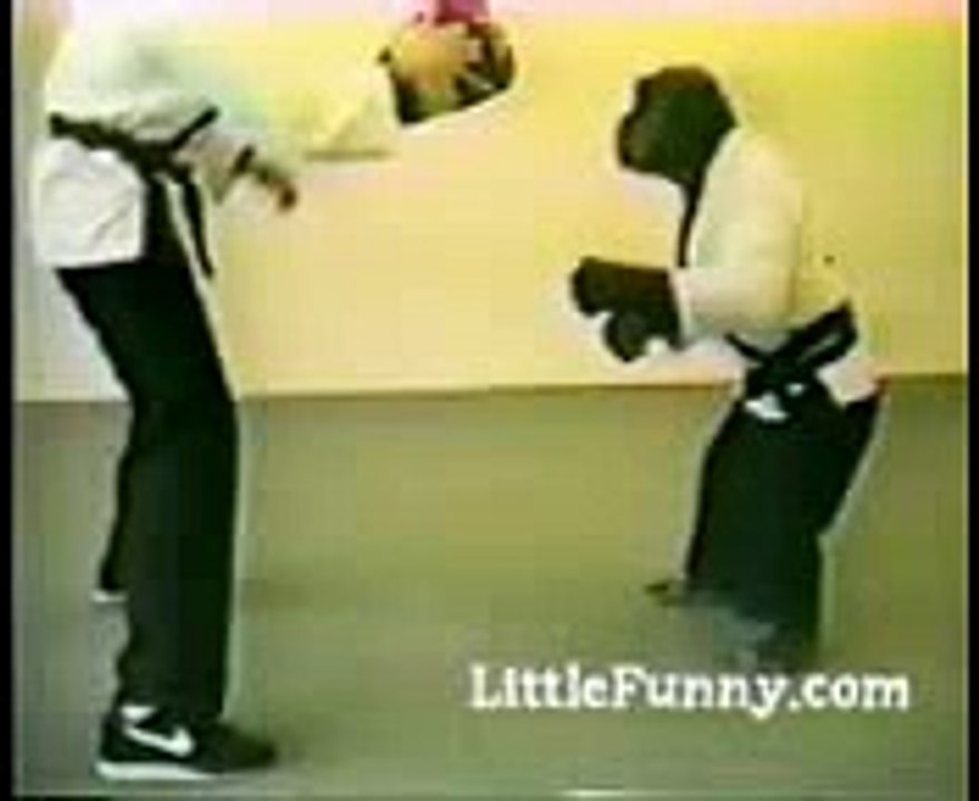 Funny Clip - Man vs Monkey Karate Fighting !