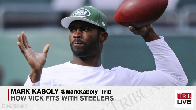 Kaboly: Steelers Not Worried by Vick