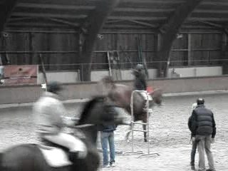 moi a cheval